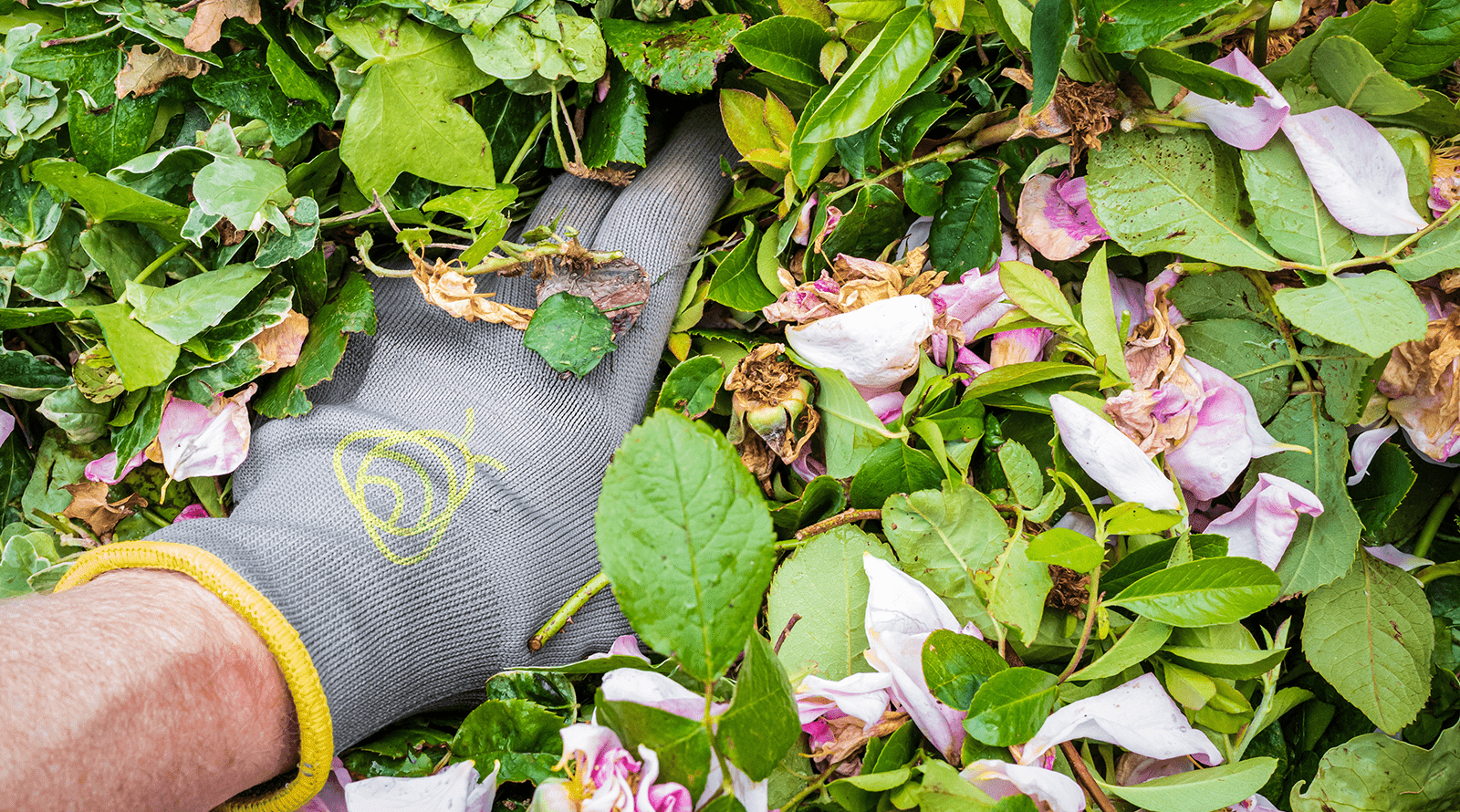 House & Garden category